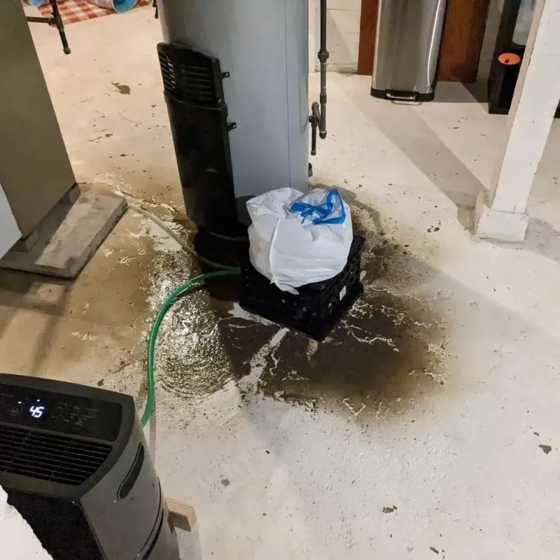 Sewage Backup Cleanup Service in Northwoods, MO